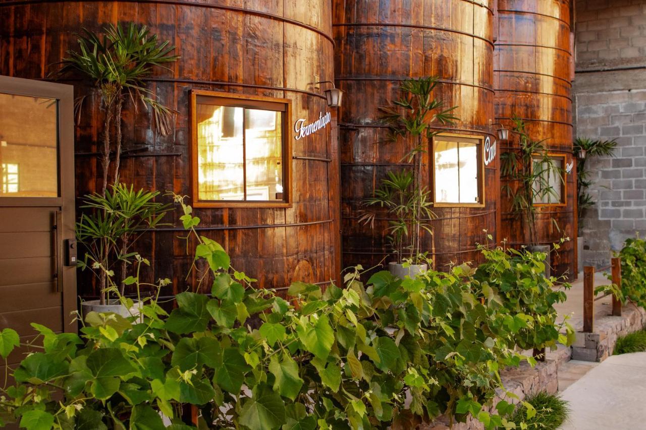 Villa Vinicolla Hospedagem Conceito Бенту-Гонсалвис Экстерьер фото