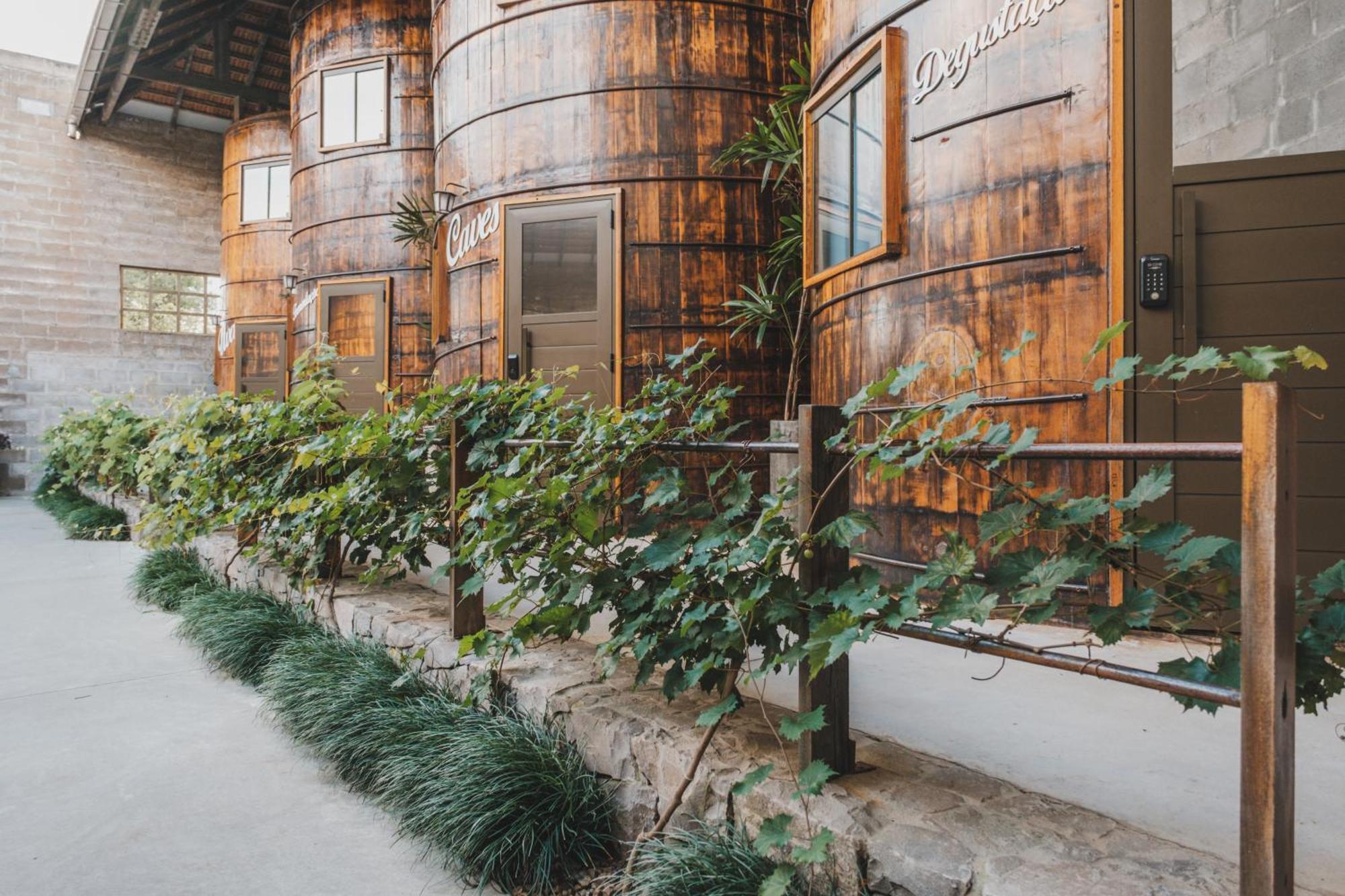 Villa Vinicolla Hospedagem Conceito Бенту-Гонсалвис Экстерьер фото